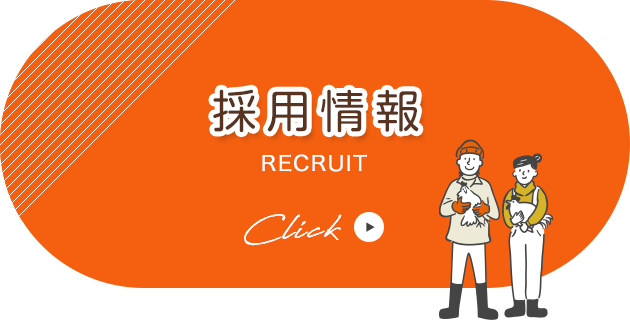 banner_recruit_half